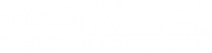 Agência KMC Inteligência de Marketing S/A